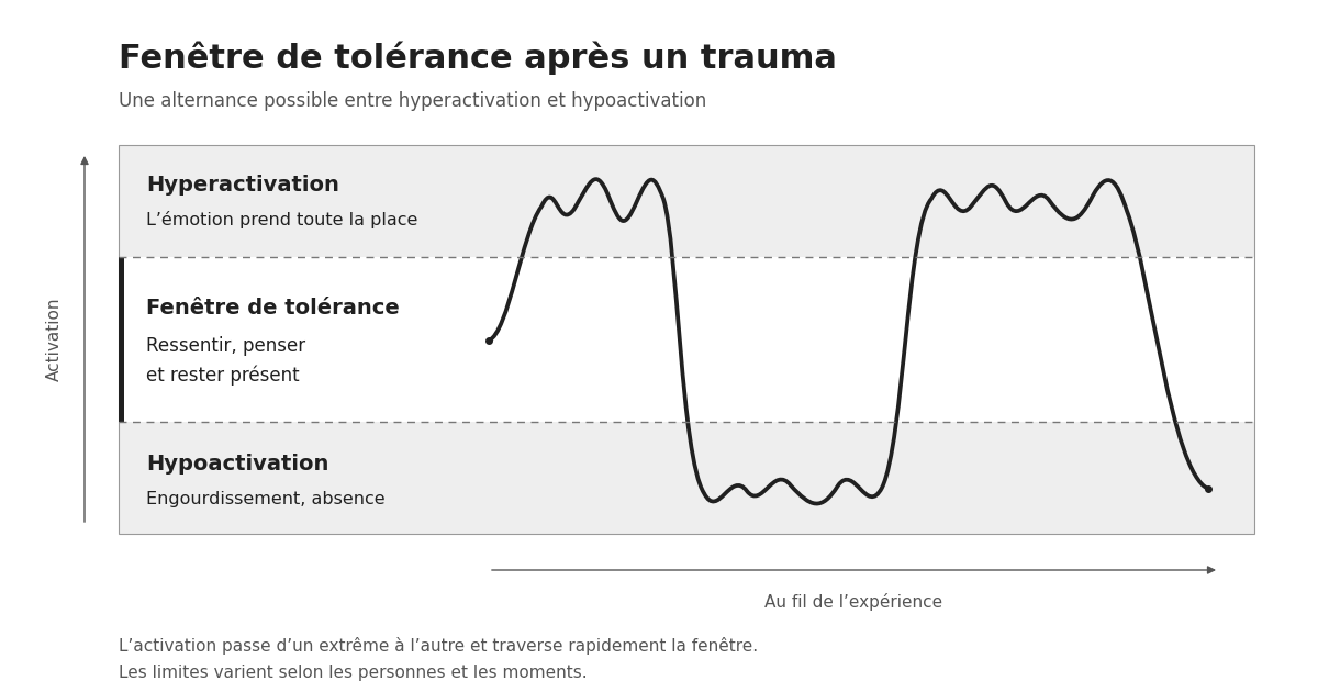 Schéma de la fenêtre de tolérance après un trauma : une activation qui oscille entre hyperactivation et hypoactivation